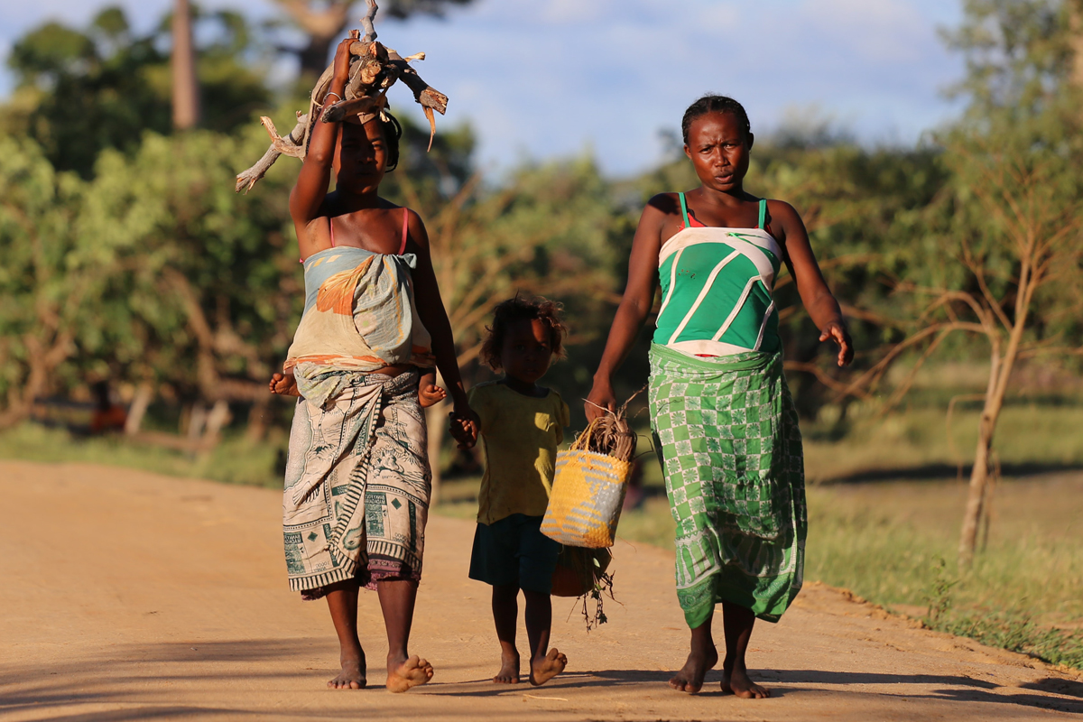 Climate, Political And Socio-Economic Emergencies In Southern Africa